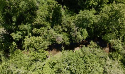 Photo #11 of Off of River Ridge Lane, Axton, VA 10.0 acres