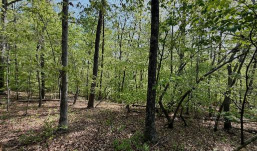 Photo #14 of Off of River Ridge Lane, Axton, VA 10.0 acres