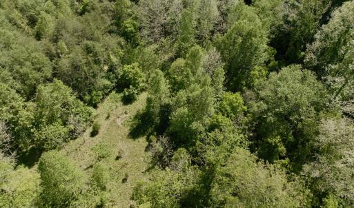 Photo #16 of Off of River Ridge Lane, Axton, VA 10.0 acres