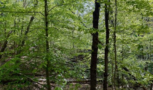 Photo #17 of Off of River Ridge Lane, Axton, VA 10.0 acres
