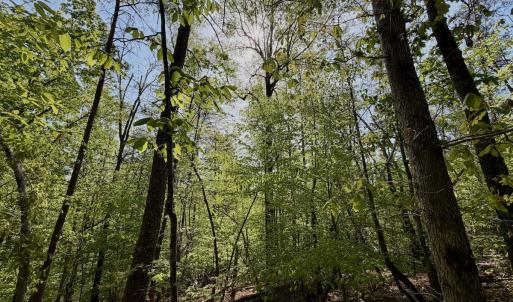 Photo #19 of Off of River Ridge Lane, Axton, VA 10.0 acres