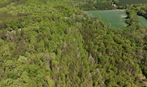 Photo #23 of Off of River Ridge Lane, Axton, VA 10.0 acres