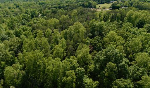 Photo #26 of Off of River Ridge Lane, Axton, VA 10.0 acres