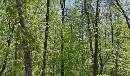 Photo #27 of Off of River Ridge Lane, Axton, VA 10.0 acres
