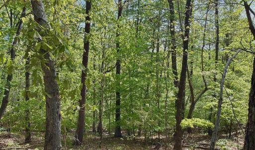 Photo #28 of Off of River Ridge Lane, Axton, VA 10.0 acres