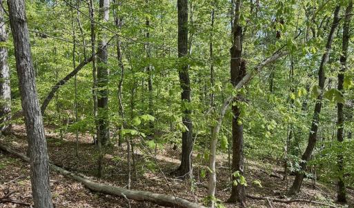 Photo #31 of Off of River Ridge Lane, Axton, VA 10.0 acres