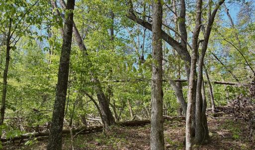 Photo #33 of Off of River Ridge Lane, Axton, VA 10.0 acres