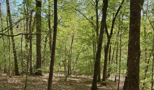 Photo #35 of Off of River Ridge Lane, Axton, VA 10.0 acres