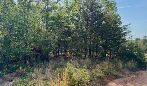 Photo #9 of Off of River Ridge Lane, Axton, VA 10.0 acres