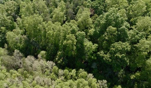 Photo #41 of Off of River Ridge Lane, Axton, VA 10.0 acres