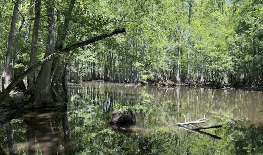 Photo #11 of Off of Kirkman Road, Stokes, NC 157.0 acres
