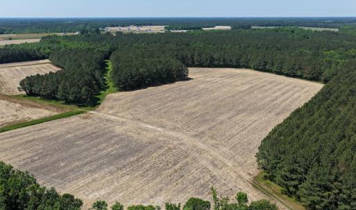 Photo #12 of Off of Kirkman Road, Stokes, NC 157.0 acres