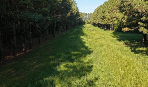 Photo #14 of Off of Kirkman Road, Stokes, NC 157.0 acres