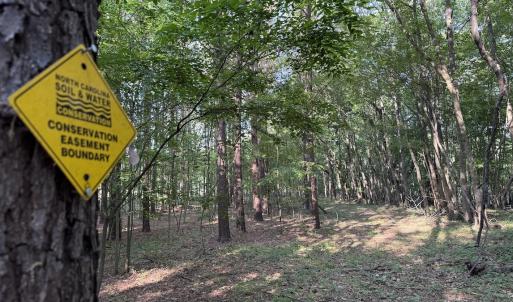 Photo #15 of Off of Kirkman Road, Stokes, NC 157.0 acres
