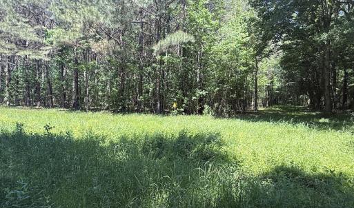 Photo #20 of Off of Kirkman Road, Stokes, NC 157.0 acres