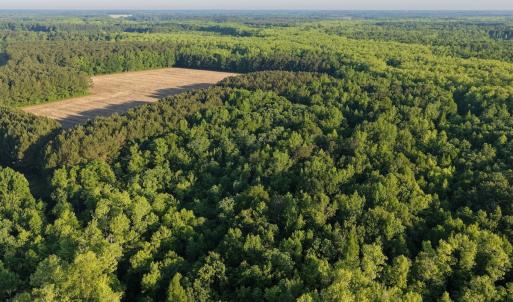 Photo #21 of Off of Kirkman Road, Stokes, NC 157.0 acres