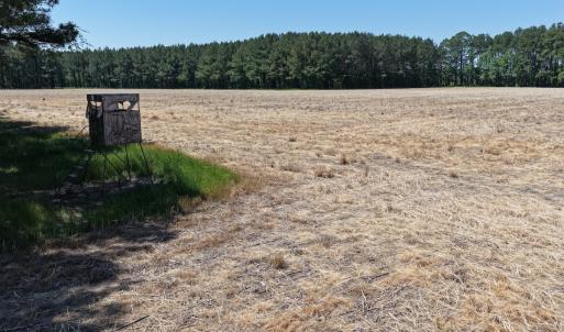 Photo #23 of Off of Kirkman Road, Stokes, NC 157.0 acres