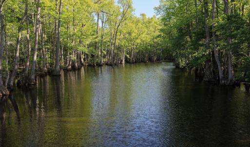 Photo #29 of Off of Kirkman Road, Stokes, NC 157.0 acres