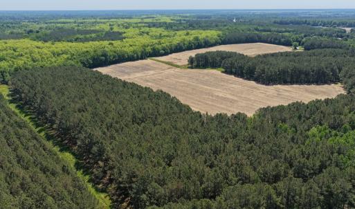 Photo #31 of Off of Kirkman Road, Stokes, NC 157.0 acres