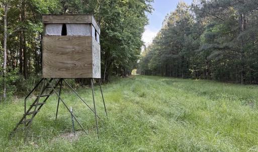 Photo #33 of Off of Kirkman Road, Stokes, NC 157.0 acres