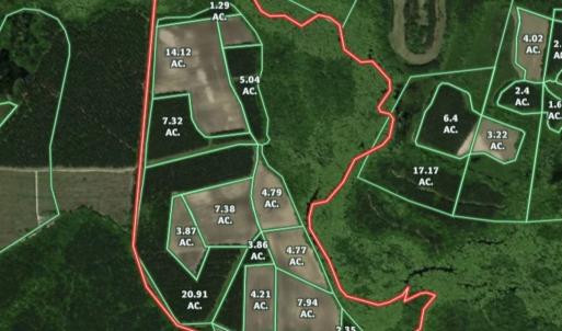 Photo #35 of Off of Kirkman Road, Stokes, NC 157.0 acres