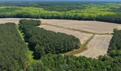 Photo #4 of Off of Kirkman Road, Stokes, NC 157.0 acres