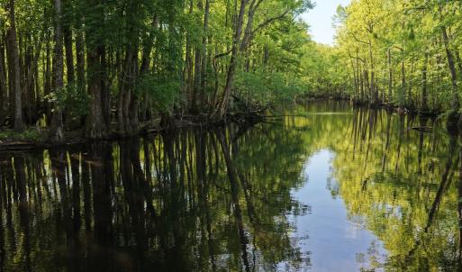 Photo #9 of Off of Kirkman Road, Stokes, NC 157.0 acres