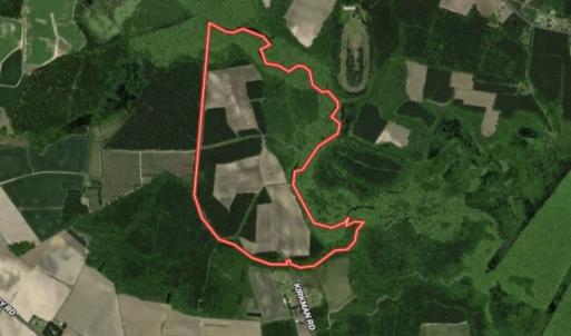 Photo #38 of Off of Kirkman Road, Stokes, NC 157.0 acres