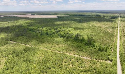 Photo #11 of Off Guinea Mill Rd, Ernul, NC 530.0 acres