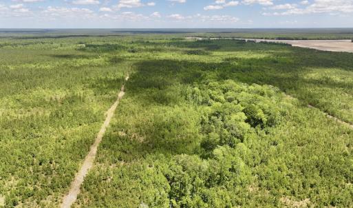 Photo #12 of Off Guinea Mill Rd, Ernul, NC 530.0 acres