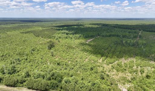 Photo #1 of Off Guinea Mill Rd, Ernul, NC 530.0 acres