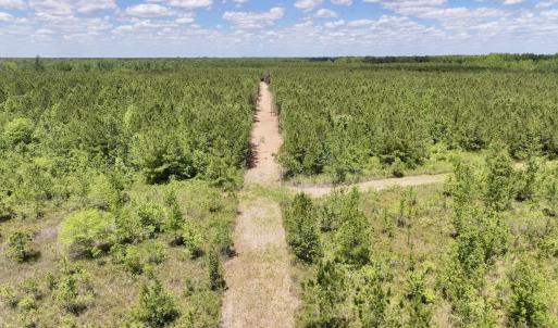 Photo #23 of Off Guinea Mill Rd, Ernul, NC 530.0 acres