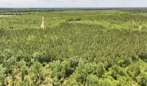 Photo #26 of Off Guinea Mill Rd, Ernul, NC 530.0 acres