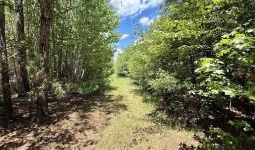 Photo #30 of Off Guinea Mill Rd, Ernul, NC 530.0 acres