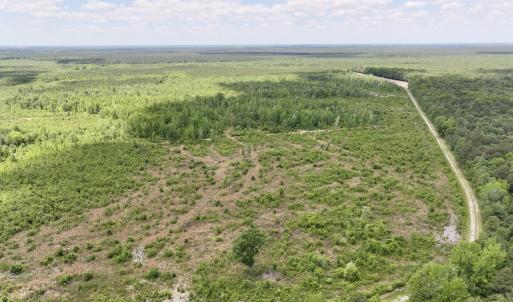 Photo #4 of Off Guinea Mill Rd, Ernul, NC 530.0 acres