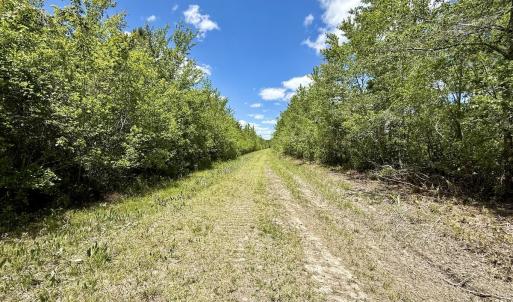 Photo #40 of Off Guinea Mill Rd, Ernul, NC 530.0 acres