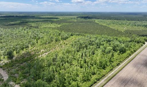 Photo #6 of Off Guinea Mill Rd, Ernul, NC 530.0 acres