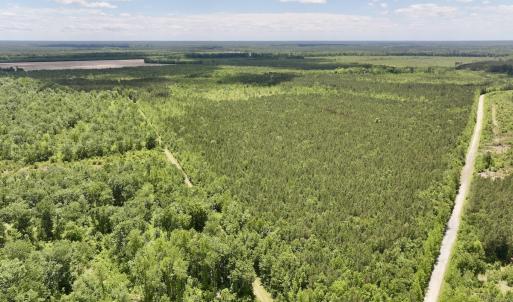 Photo #8 of Off Guinea Mill Rd, Ernul, NC 530.0 acres