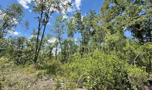 Photo #43 of Off Guinea Mill Rd, Ernul, NC 530.0 acres