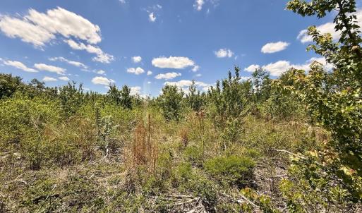 Photo #45 of Off Guinea Mill Rd, Ernul, NC 530.0 acres