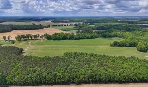 Photo #11 of 431 Icaria Rd, Tyner, NC 72.0 acres