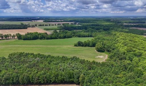 Photo #12 of 431 Icaria Rd, Tyner, NC 72.0 acres
