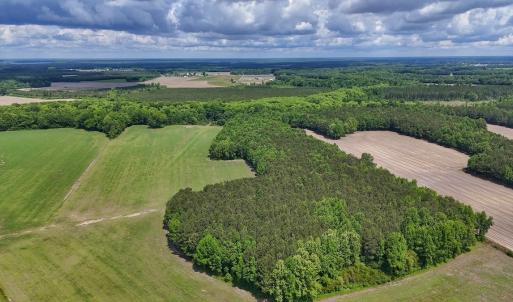 Photo #1 of 431 Icaria Rd, Tyner, NC 72.0 acres
