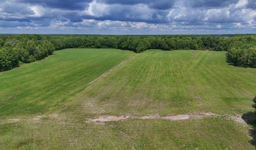 Photo #38 of 431 Icaria Rd, Tyner, NC 72.0 acres