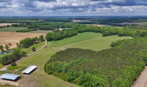 Photo #4 of 431 Icaria Rd, Tyner, NC 72.0 acres