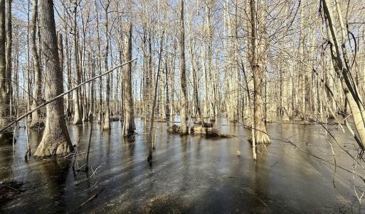 Photo #43 of 431 Icaria Rd, Tyner, NC 72.0 acres