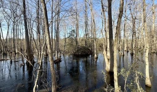 Photo #47 of 431 Icaria Rd, Tyner, NC 72.0 acres