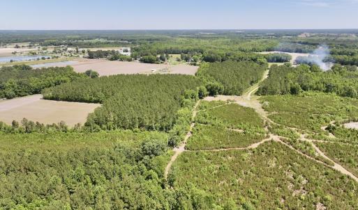 Photo #10 of Off of Skeeter Pond Rd, Grifton, NC 89.2 acres