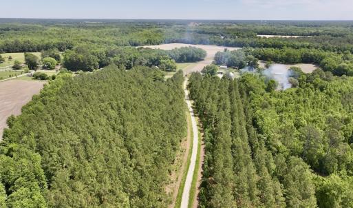 Photo #14 of Off of Skeeter Pond Rd, Grifton, NC 89.2 acres
