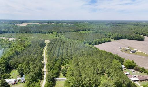 Photo #15 of Off of Skeeter Pond Rd, Grifton, NC 89.2 acres